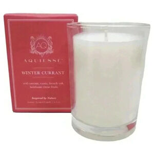 Aquiesse WINTER CURRANT Soy Wax Candle 6.5 oz, Holiday NEW